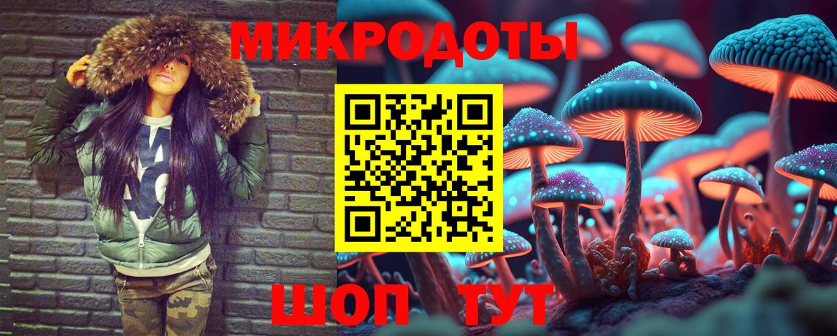 Галлюциногенные грибы Psilocybine cubensis Ковров