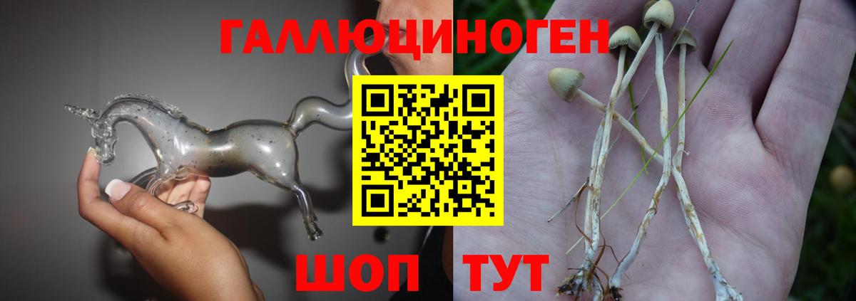 Ковров  Псилоцибиновые грибы Cubensis  Вход с VPN 