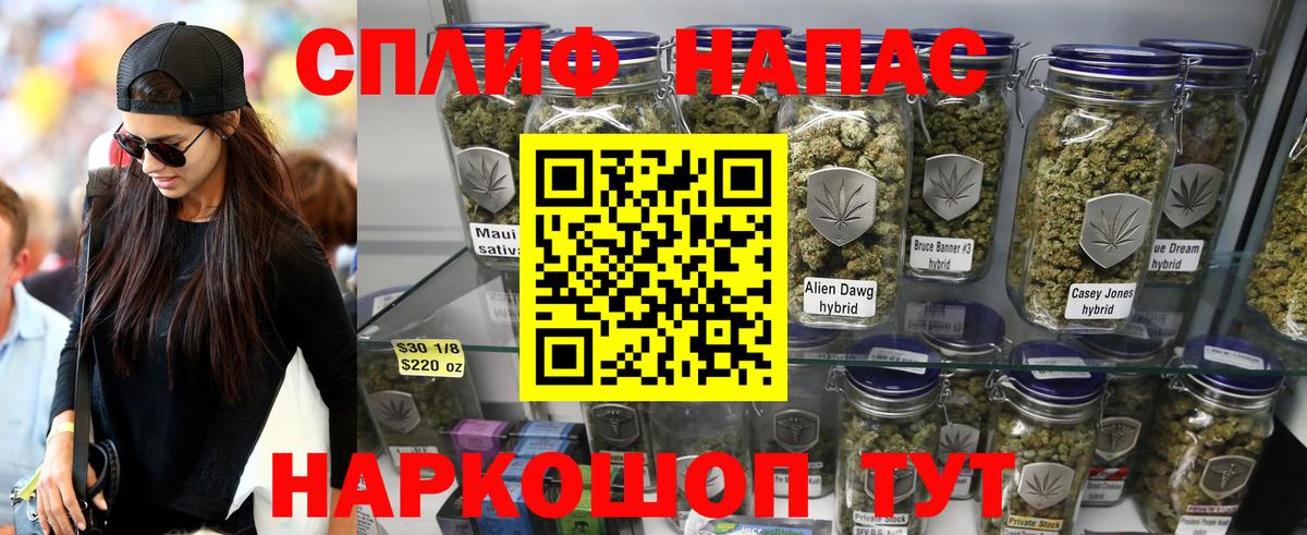 Канабис гибрид Ковров
